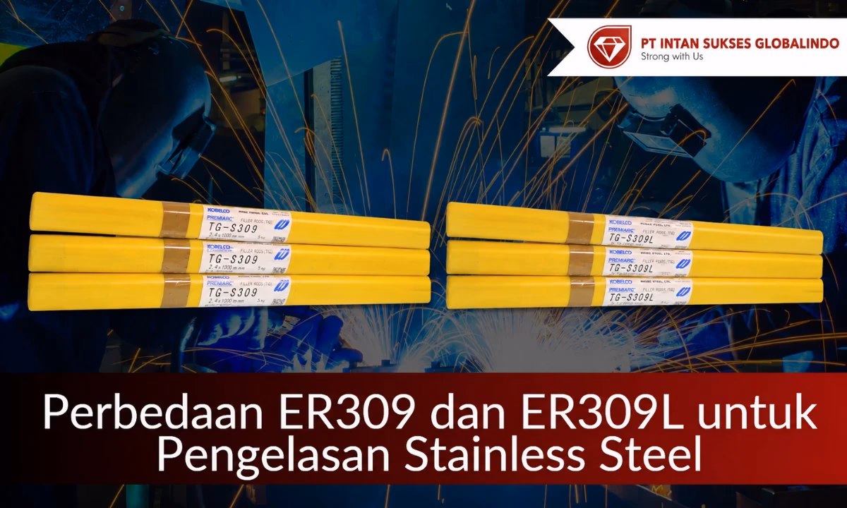 Perbedaan ER309 dan ER309L